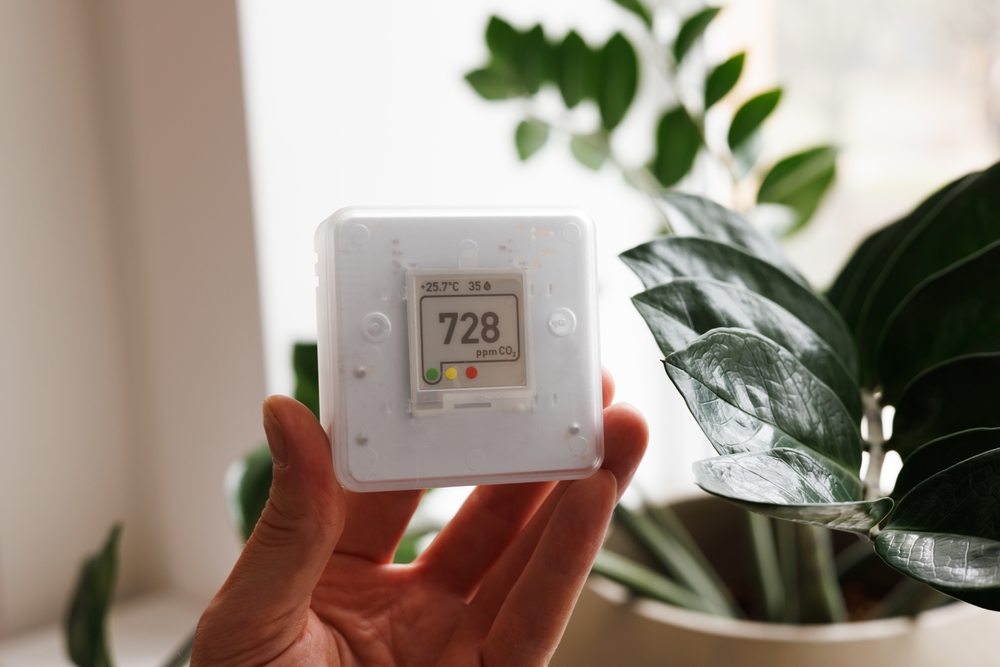 Person holding indoor air quality sensor, with indoor plant in the background.