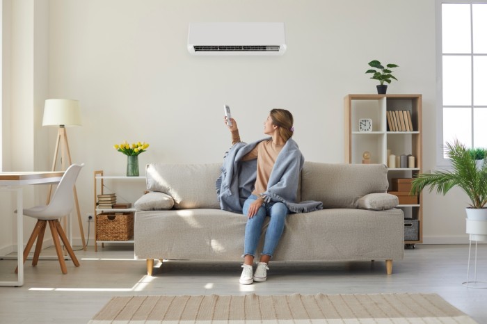 Woman Turning On Heating And Cooling